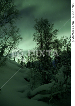 Aurora, Aurora 63647788