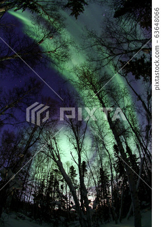 Aurora, Aurora Aurora, Aurora 63648066