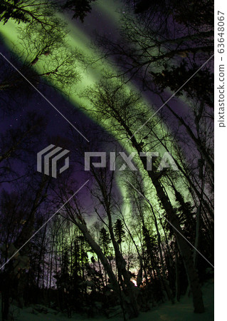 極光,極光 極光,極光 63648067