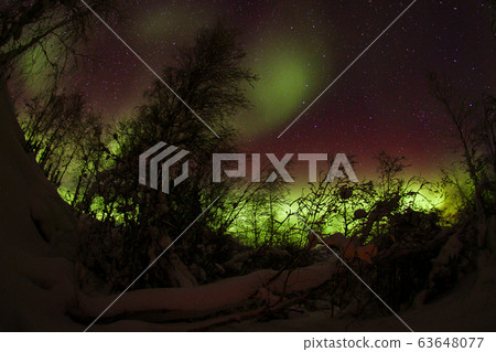 極光，極光 63648077