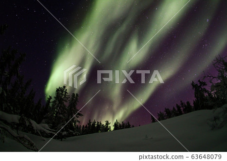 Aurora, Aurora Aurora, Aurora 63648079