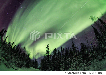 Aurora, Aurora Aurora, Aurora 63648085