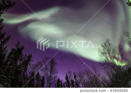 Aurora, Aurora 63648086