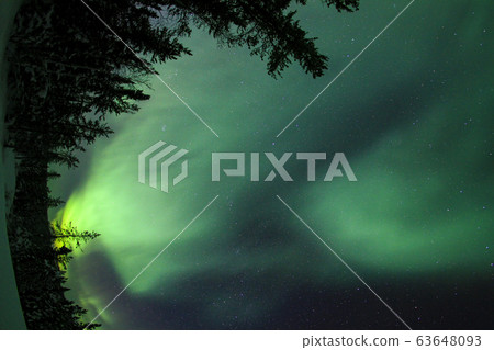 Aurora, Aurora 63648093