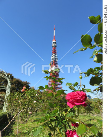 Tokyo Tower over Le Barra 63648165