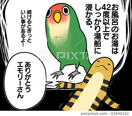 Health-conscious birds and reptiles (pets, fine, baths) Health-conscious birds and reptiles (pets, fine, baths) 63648182