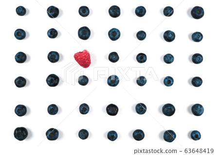 Blueberry pattern on a white background 63648419