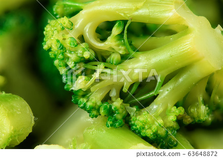 fresh chopped green broccoli background macro fresh chopped green broccoli background macro 63648872