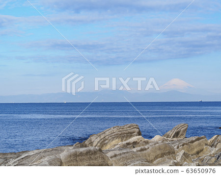 Jogashima(春天) Jogashima(春天) 63650976