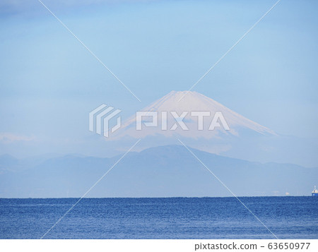 Jogashima(春天) Jogashima(春天) 63650977