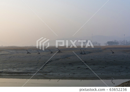 Siheung Tidal-Ecological Park, Siheung City, Gyeonggi-do 63652236