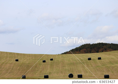 Hokkaido Nemuro district Landscape with grass roll 63653427