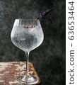 Alcohol beverage. Refreshing Gin and Tonic cocktail 63653464