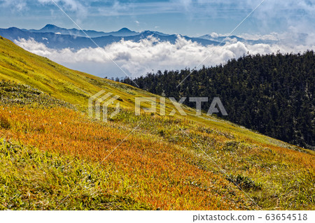 Autumn leaves of grass and mountain range of Nikko - Stock