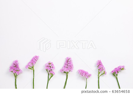 Pink purple statice flowers on white background. Floral composition, flat lay, top view, copy space Pink purple statice flowers on white background. Floral composition, flat lay, top view, copy space 63654658