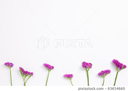 Pink purple statice flowers on white background. Floral composition, flat lay, top view, copy space Pink purple statice flowers on white background. Floral composition, flat lay, top view, copy space 63654660
