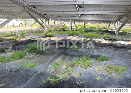 Failure examples of weed control measures 63655705