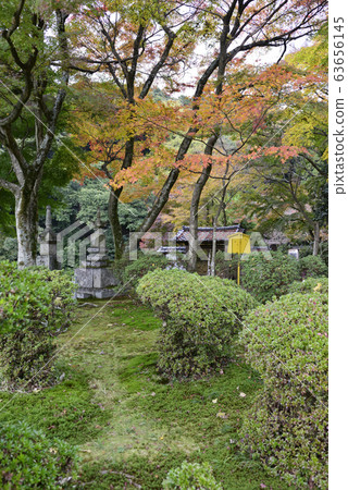 Seikaji Temple Koryo Bureau Morning Tower Seikaji Temple Koryo Bureau Morning Tower 63656145