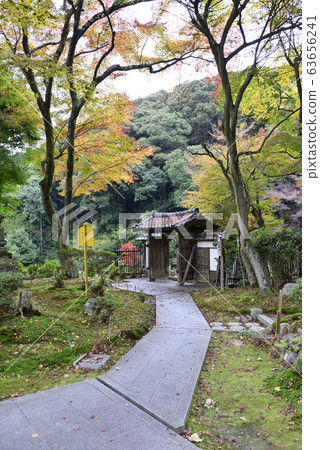 Utanoko Nakayama Seikaji Temple Sanmon 63656241