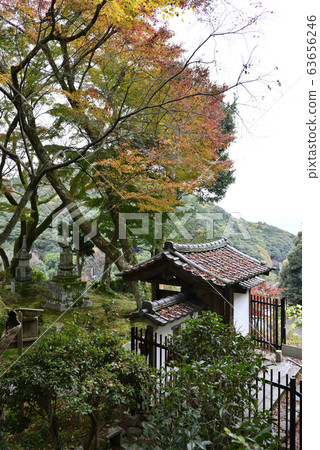 Utanoko Nakayama Seikaji Temple Sanmon 63656246