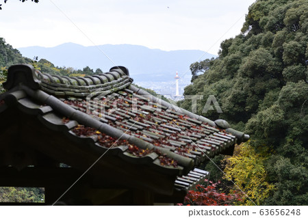Utanoko Nakayama Seikaji Temple Sanmon 63656248