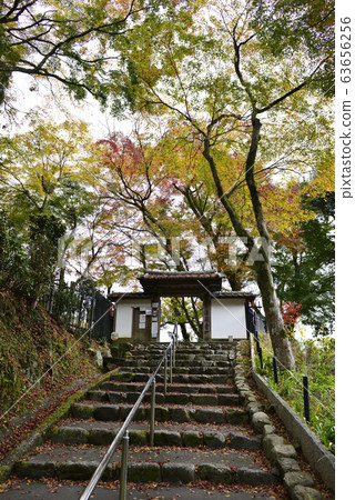 Utanoko Nakayama Seikaji Temple Sanmon 63656256