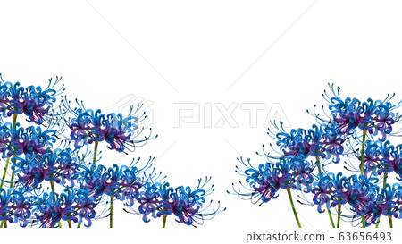 Watercolor painting of blue cluster amaryllis flower field 63656493