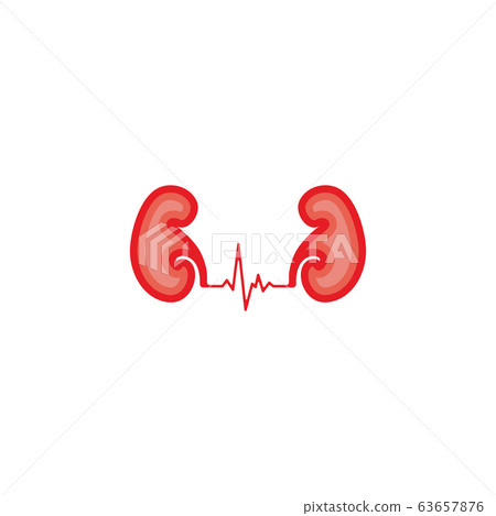 The Symbol Kidney Design Vectors Template The Symbol Kidney Design Vectors Template 63657876