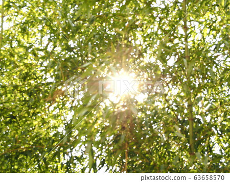Sunbeams Sunbeams 63658570