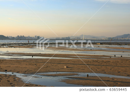 21 June 2008 the coast at Ha Pak Nai, Yuen Long 21 June 2008 the coast at Ha Pak Nai, Yuen Long 63659445