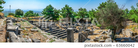 Ancient city Priene in Turkey 63660042