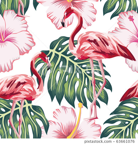 Flamingo green leaves pink hibiscus white 63661076