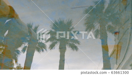 Reflection of tropical palm tree in waving water surface. Reflection of tropical palm tree in waving water surface. 63661300