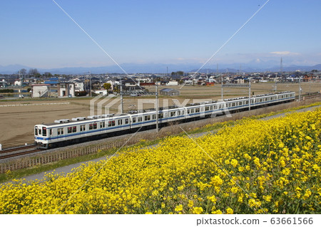 Tobu 8000 series test train and rape blossom bank 63661566