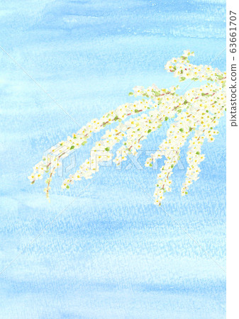 Snow willow and blue sky watercolor 63661707