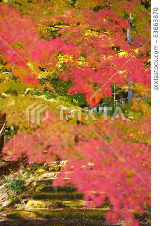 哈納住房公園秋葉 63663870