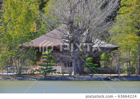 [福島縣] Ganjoji寺白水阿美達堂 63664224