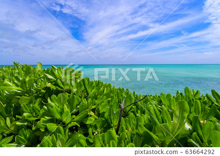 View from Miyakojima Ikeama Bridge View from Miyakojima Ikeama Bridge 63664292