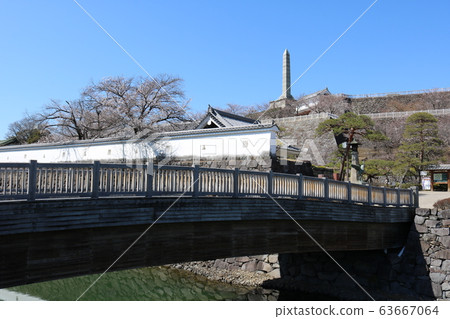 ■ Kofu Castle ■ Maizuru Castle Park ■ Sunny ■ Yamanashi Prefecture ■ Full bloom Sakura ■ Kofu Castle ■ Maizuru Castle Park ■ Sunny ■ Yamanashi Prefecture ■ Full bloom Sakura 63667064