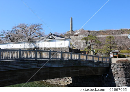 ■ Kofu Castle ■ Maizuru Castle Park ■ Sunny ■ Yamanashi Prefecture ■ Full bloom Sakura ■ Kofu Castle ■ Maizuru Castle Park ■ Sunny ■ Yamanashi Prefecture ■ Full bloom Sakura 63667065