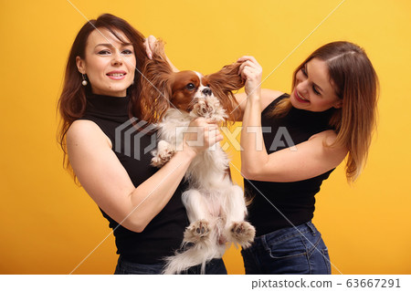 Fashion girls posing on a yellow background 63667291