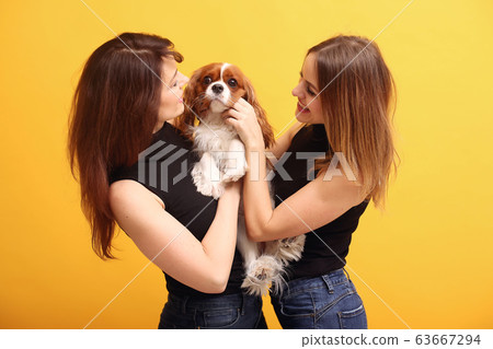 Fashion girls posing on a yellow background 63667294