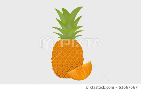 Fresh pineapple fruit tropical vector and - Stock Illustration ...