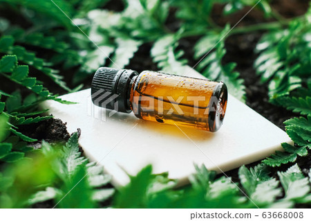Bottle of herbal essential oil in a green tropical garden, natural scent and organic cosmetics 63668008
