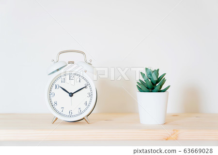 Alarm clock and flower pot on white background. 63669028
