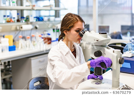 Scientist conducts study of biological material in Scientist conducts study of biological material in 63670279