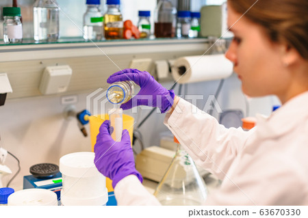 Scientific or medical experiment in lab close up Scientific or medical experiment in lab close up 63670330