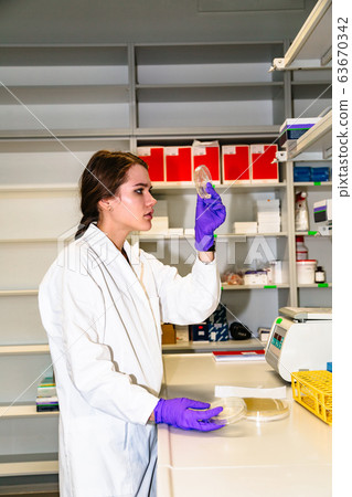 Lab technician examines scrapings on glass slides Lab technician examines scrapings on glass slides 63670342