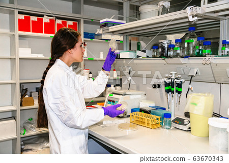 Lab technician examines scrapings on glass slides Lab technician examines scrapings on glass slides 63670343