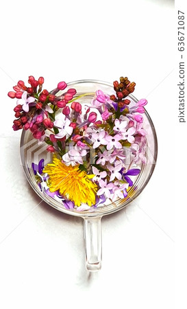 Flower Flower 63671087